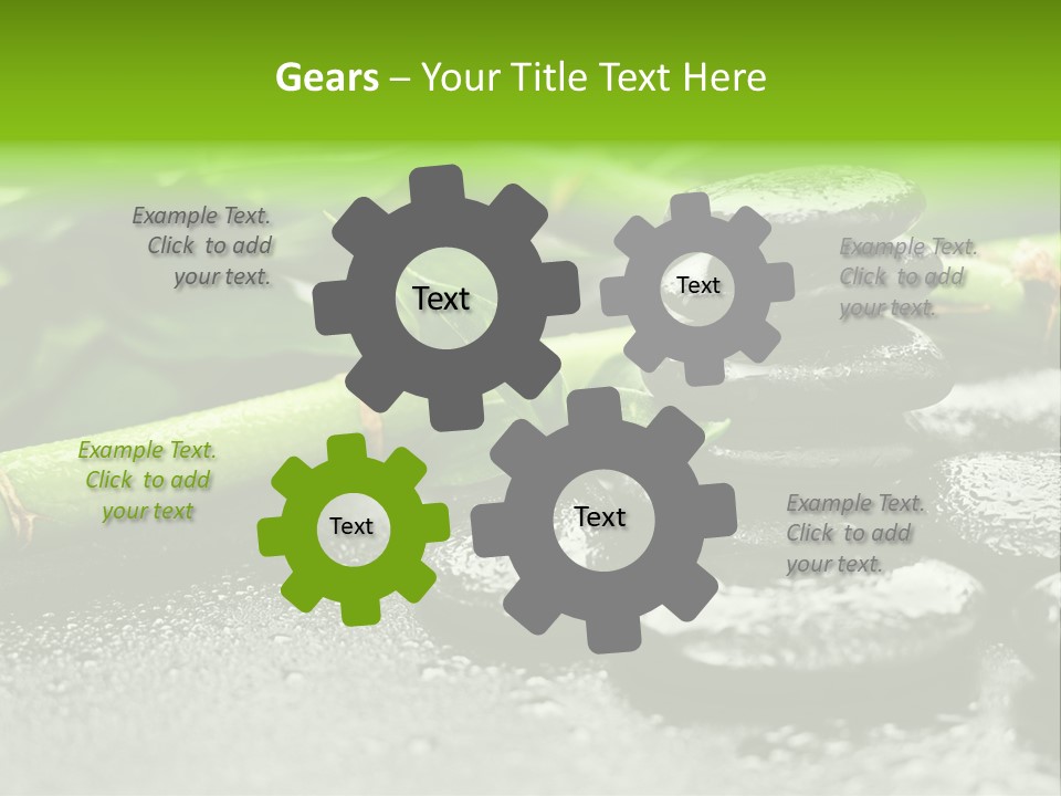 Boulder Lucky Closeup PowerPoint Template