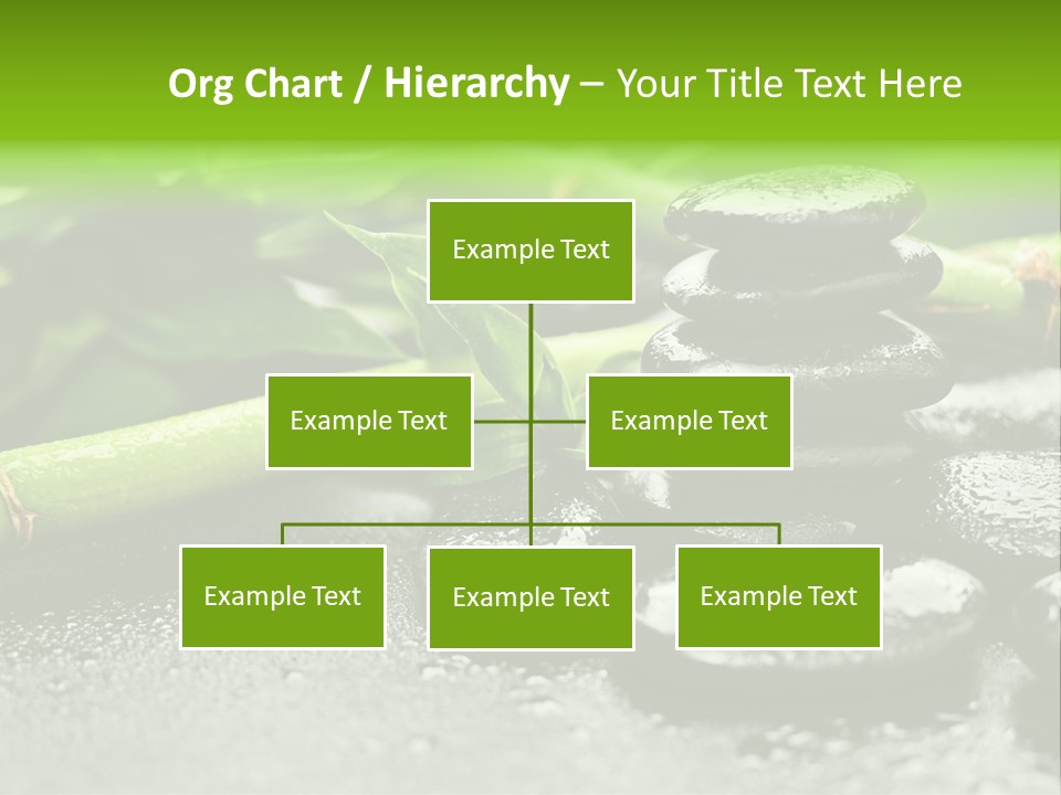 Boulder Lucky Closeup PowerPoint Template