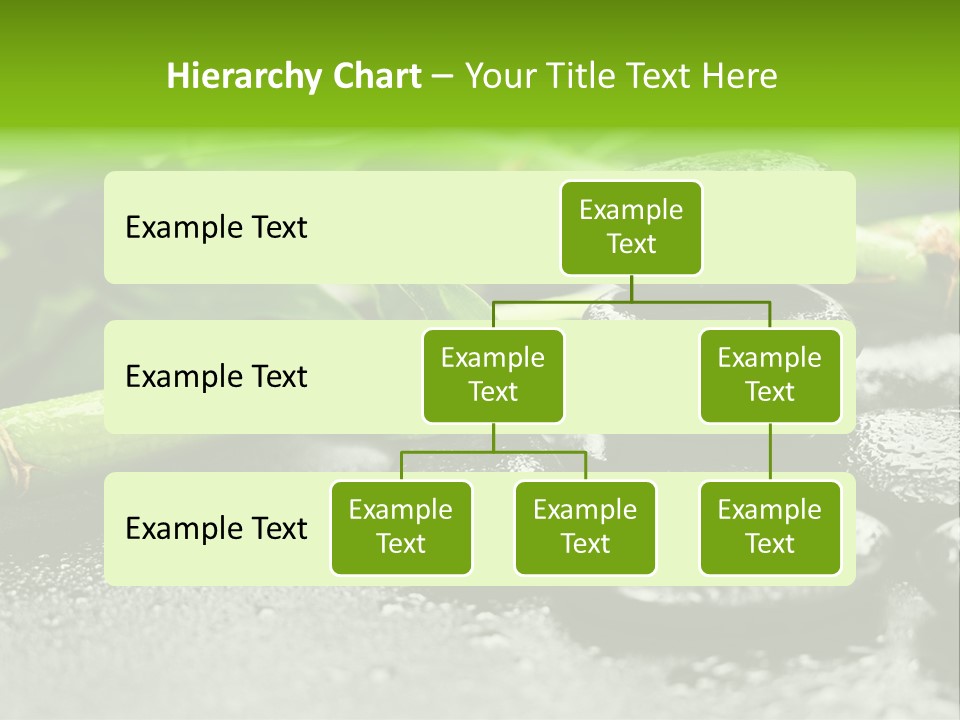 Boulder Lucky Closeup PowerPoint Template