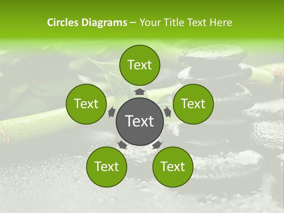 Boulder Lucky Closeup PowerPoint Template