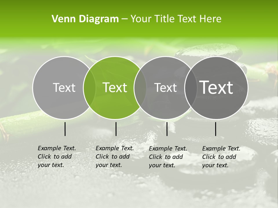 Boulder Lucky Closeup PowerPoint Template