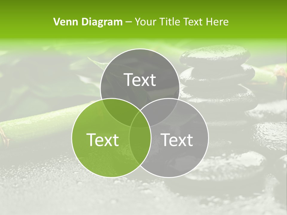 Boulder Lucky Closeup PowerPoint Template