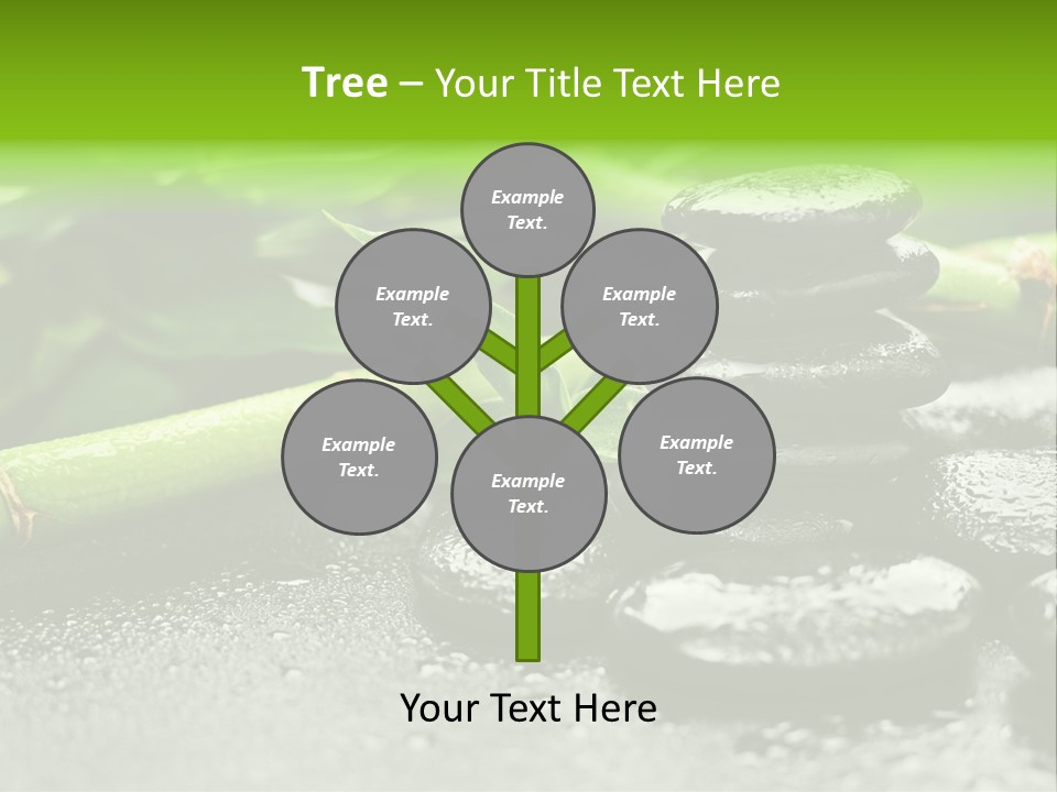 Boulder Lucky Closeup PowerPoint Template