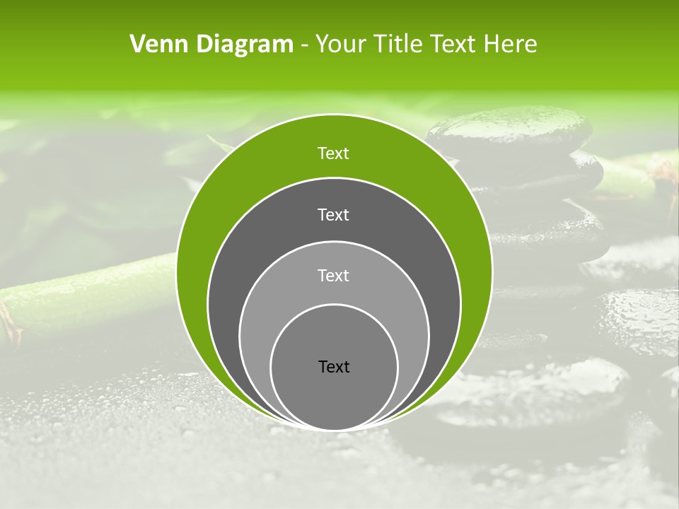 Boulder Lucky Closeup PowerPoint Template