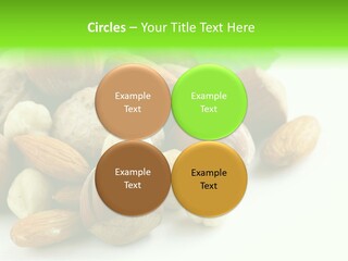 Tropical Lifestyles Remote PowerPoint Template