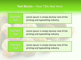 Tropical Lifestyles Remote PowerPoint Template