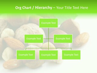 Tropical Lifestyles Remote PowerPoint Template