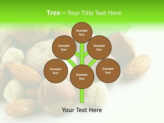 Tropical Lifestyles Remote PowerPoint Template