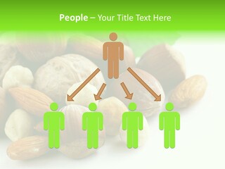 Tropical Lifestyles Remote PowerPoint Template