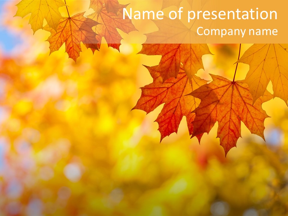 Beauty Autumnal Fall PowerPoint Template