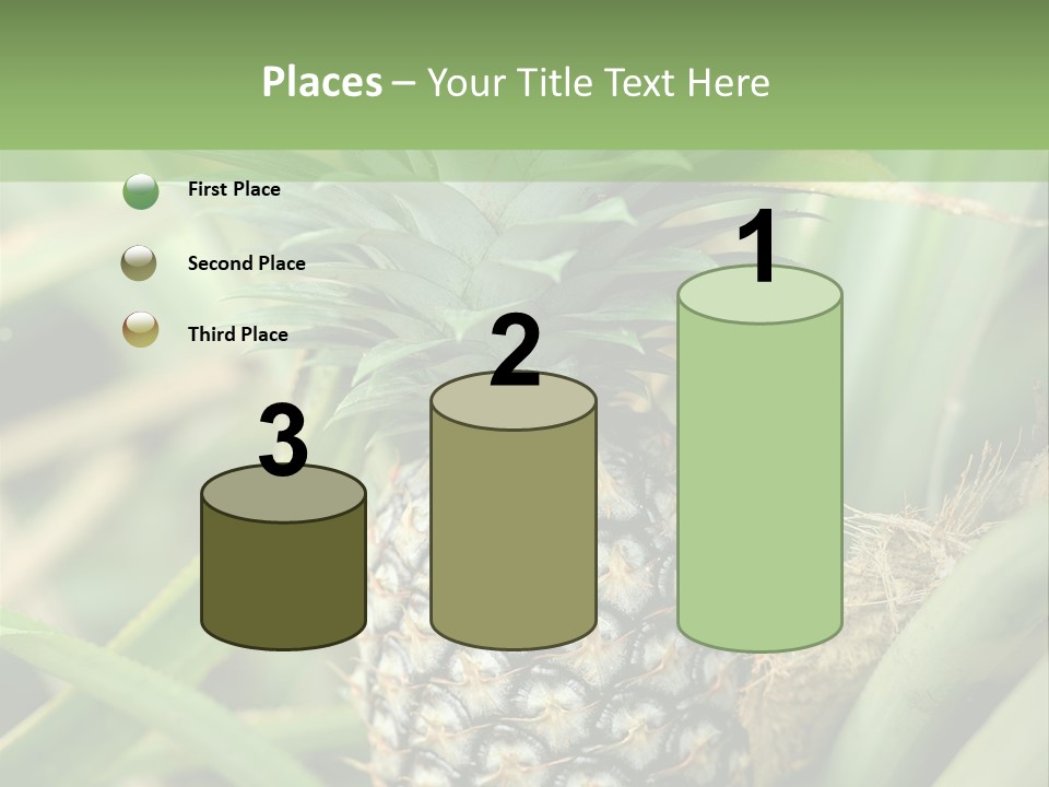 Asia Outdoor Raw PowerPoint Template