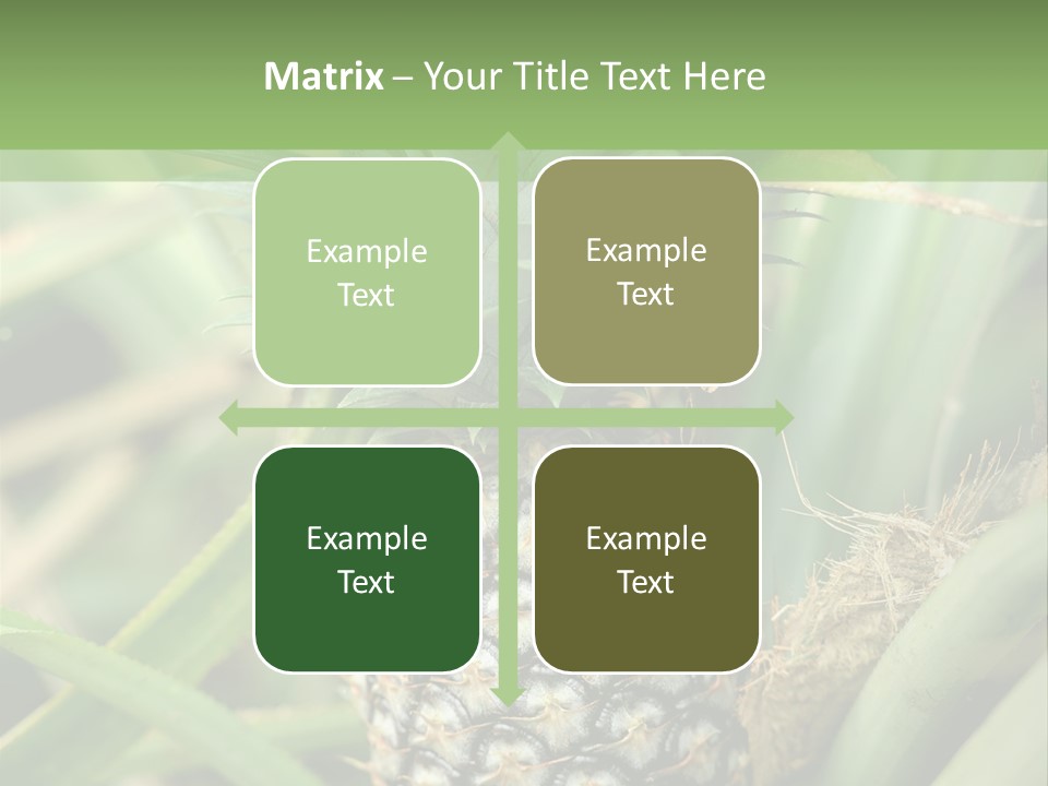 Asia Outdoor Raw PowerPoint Template