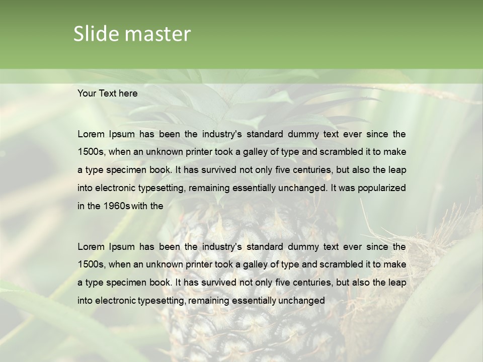 Asia Outdoor Raw PowerPoint Template