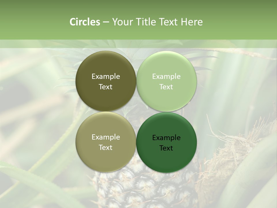 Asia Outdoor Raw PowerPoint Template