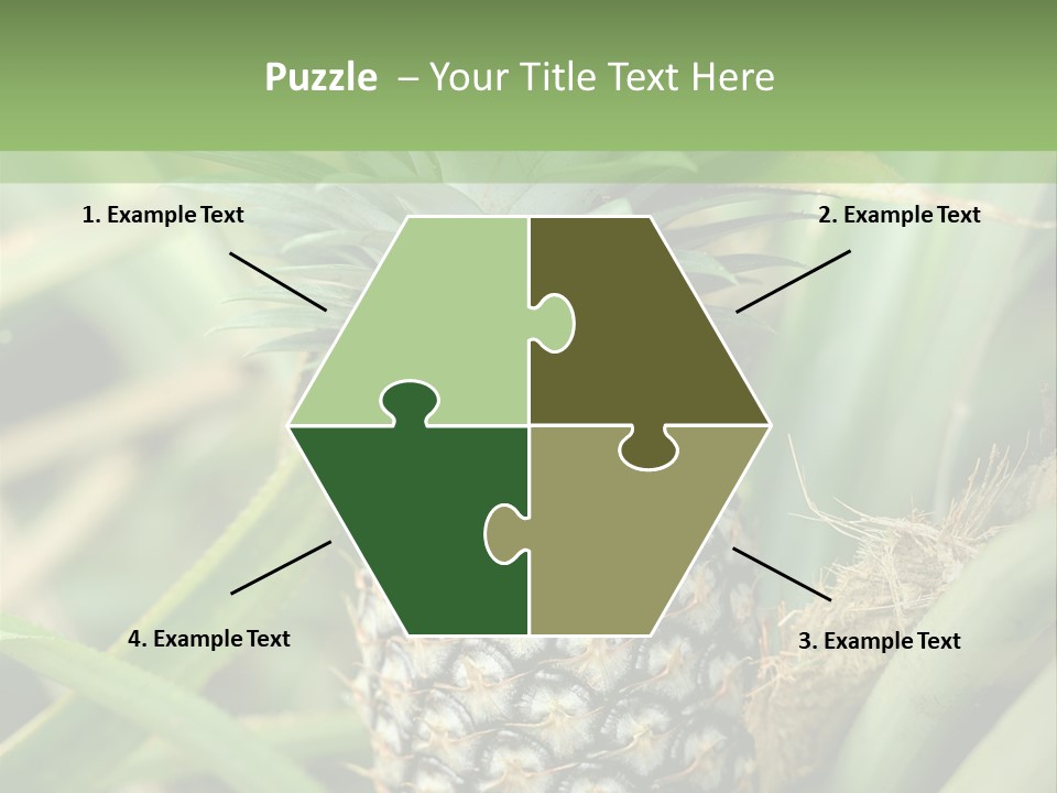 Asia Outdoor Raw PowerPoint Template