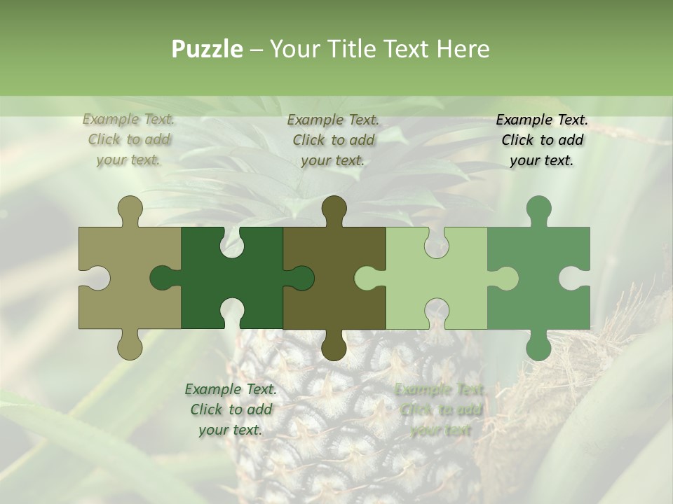 Asia Outdoor Raw PowerPoint Template