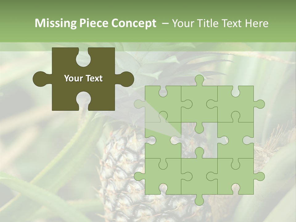 Asia Outdoor Raw PowerPoint Template