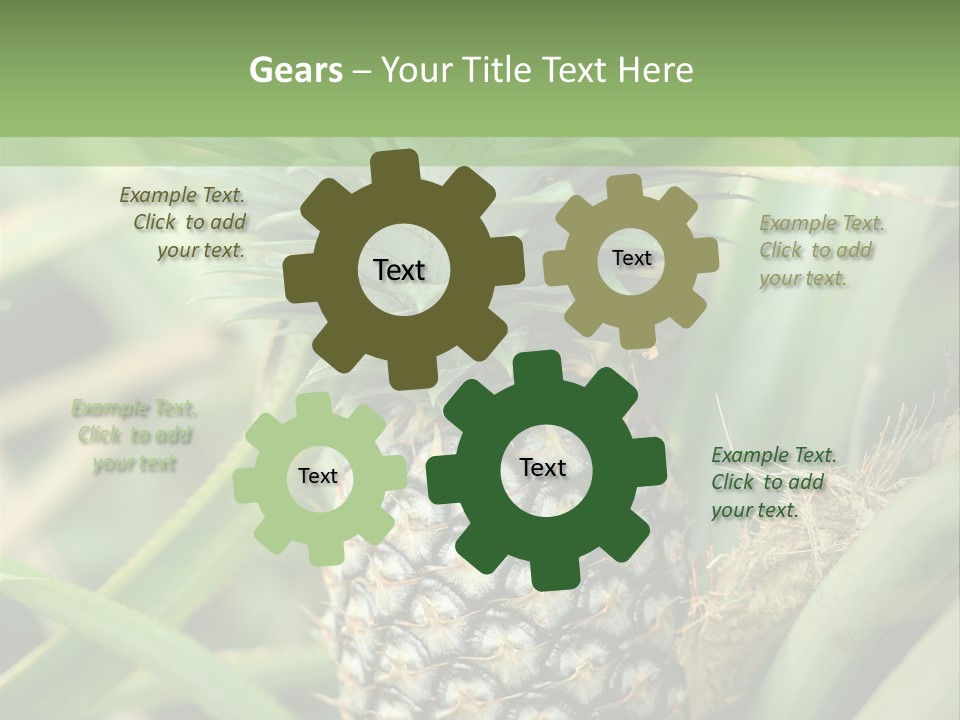 Asia Outdoor Raw PowerPoint Template