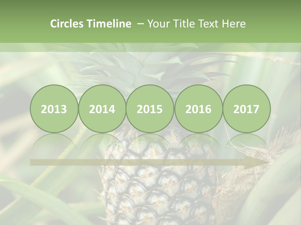 Asia Outdoor Raw PowerPoint Template