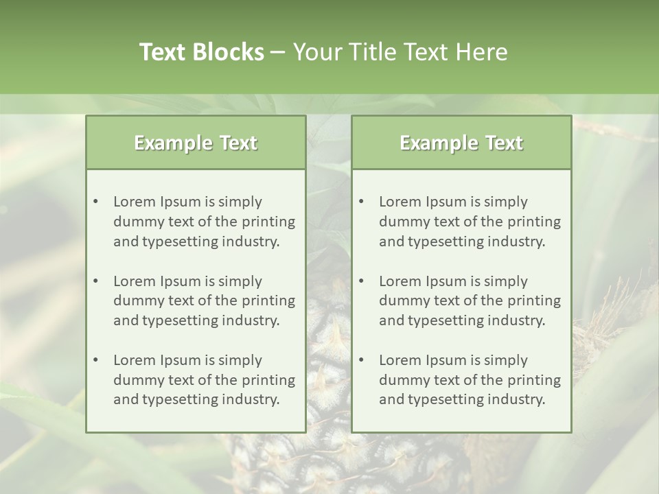 Asia Outdoor Raw PowerPoint Template