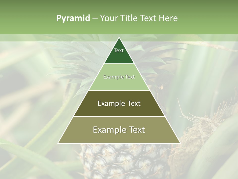 Asia Outdoor Raw PowerPoint Template