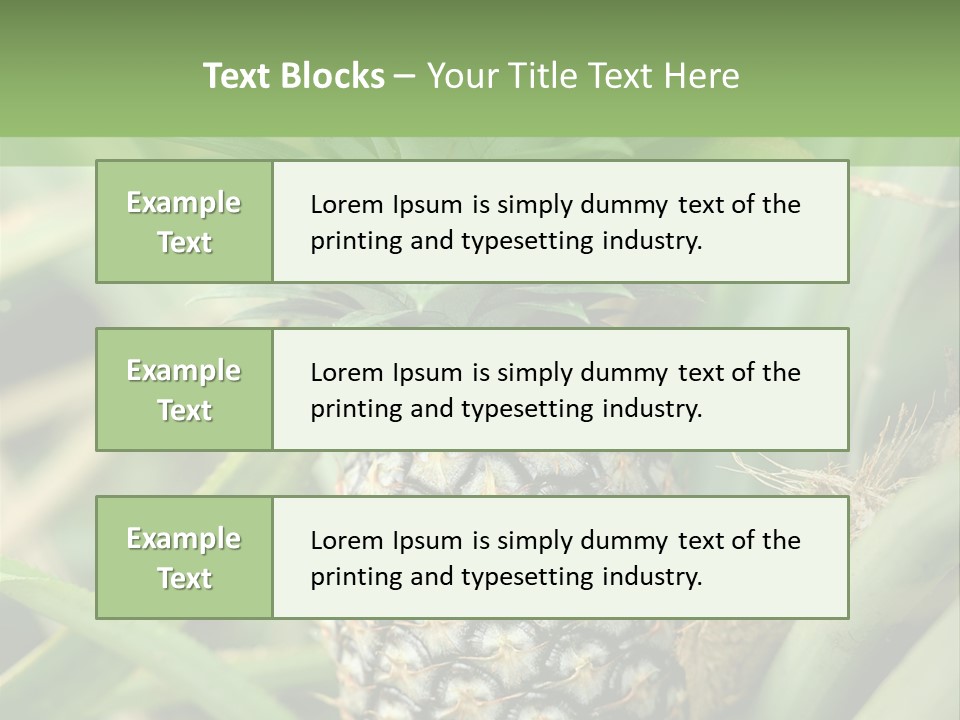 Asia Outdoor Raw PowerPoint Template