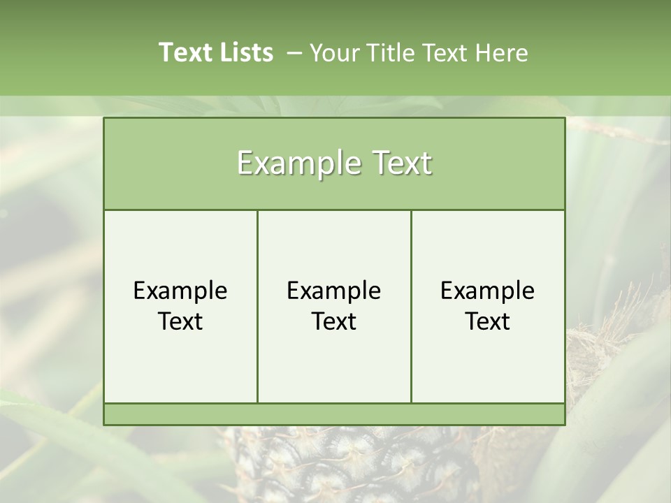 Asia Outdoor Raw PowerPoint Template