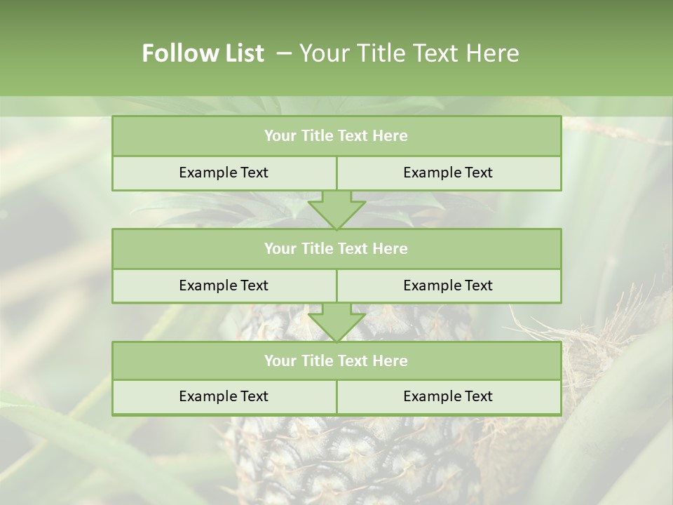 Asia Outdoor Raw PowerPoint Template