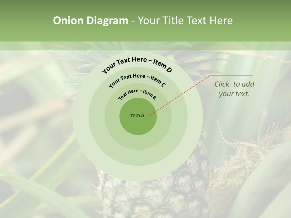 Asia Outdoor Raw PowerPoint Template