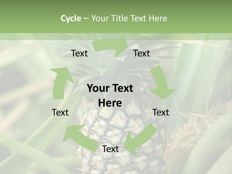 Asia Outdoor Raw PowerPoint Template