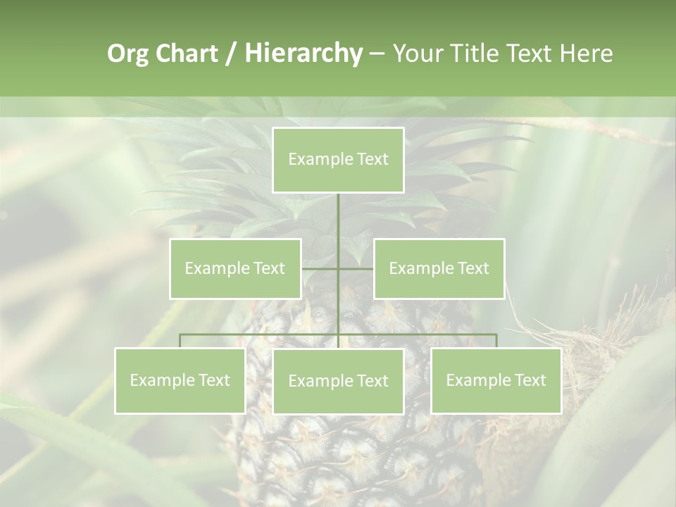 Asia Outdoor Raw PowerPoint Template