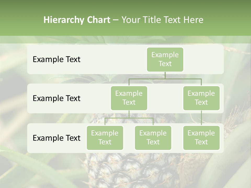 Asia Outdoor Raw PowerPoint Template