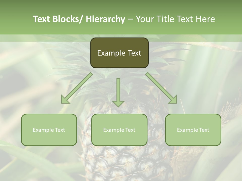 Asia Outdoor Raw PowerPoint Template