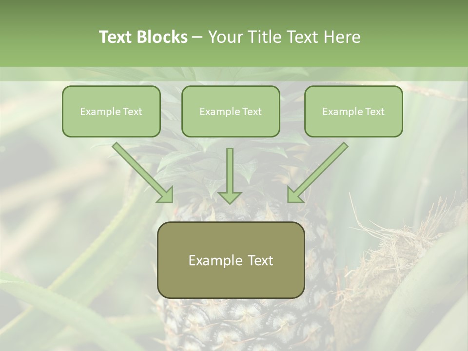 Asia Outdoor Raw PowerPoint Template