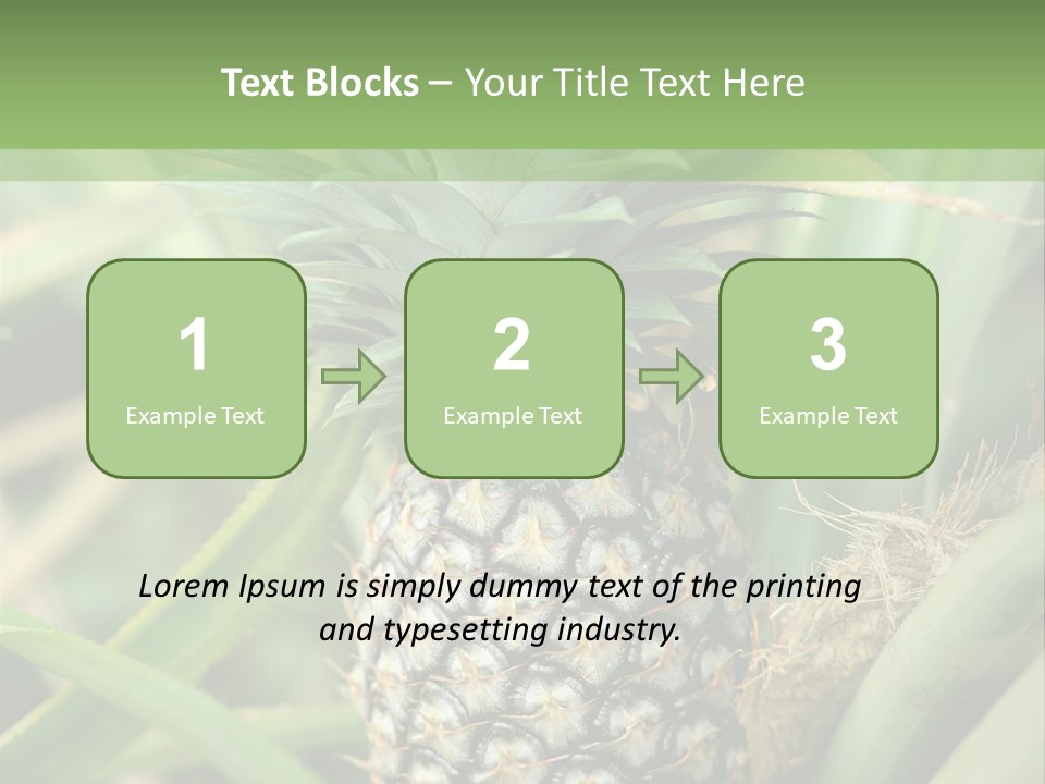 Asia Outdoor Raw PowerPoint Template