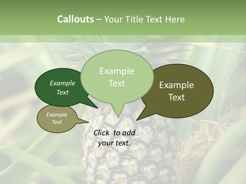 Asia Outdoor Raw PowerPoint Template