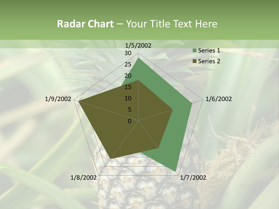 Asia Outdoor Raw PowerPoint Template