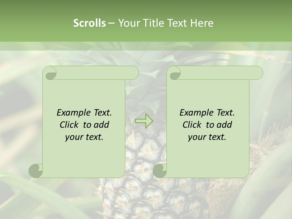 Asia Outdoor Raw PowerPoint Template