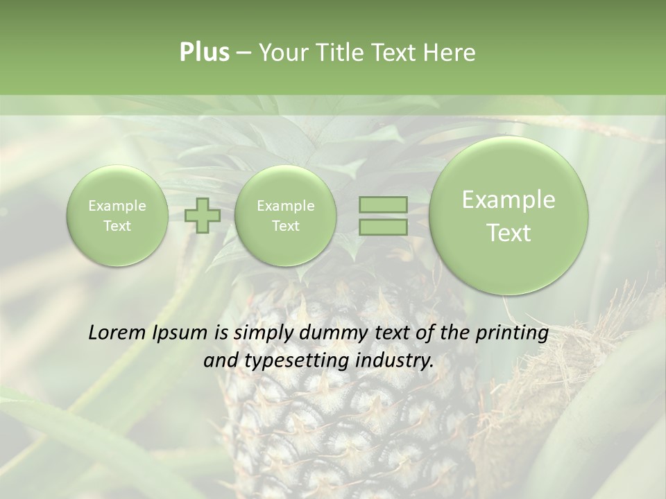 Asia Outdoor Raw PowerPoint Template