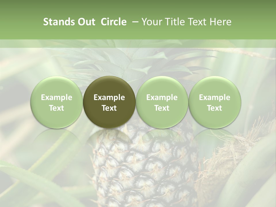 Asia Outdoor Raw PowerPoint Template