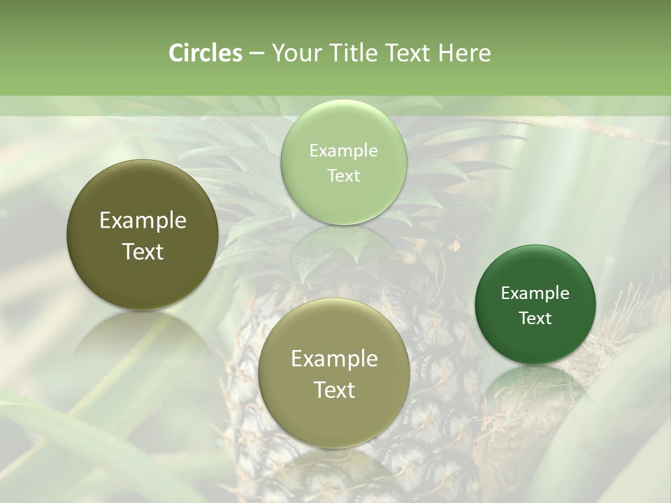 Asia Outdoor Raw PowerPoint Template