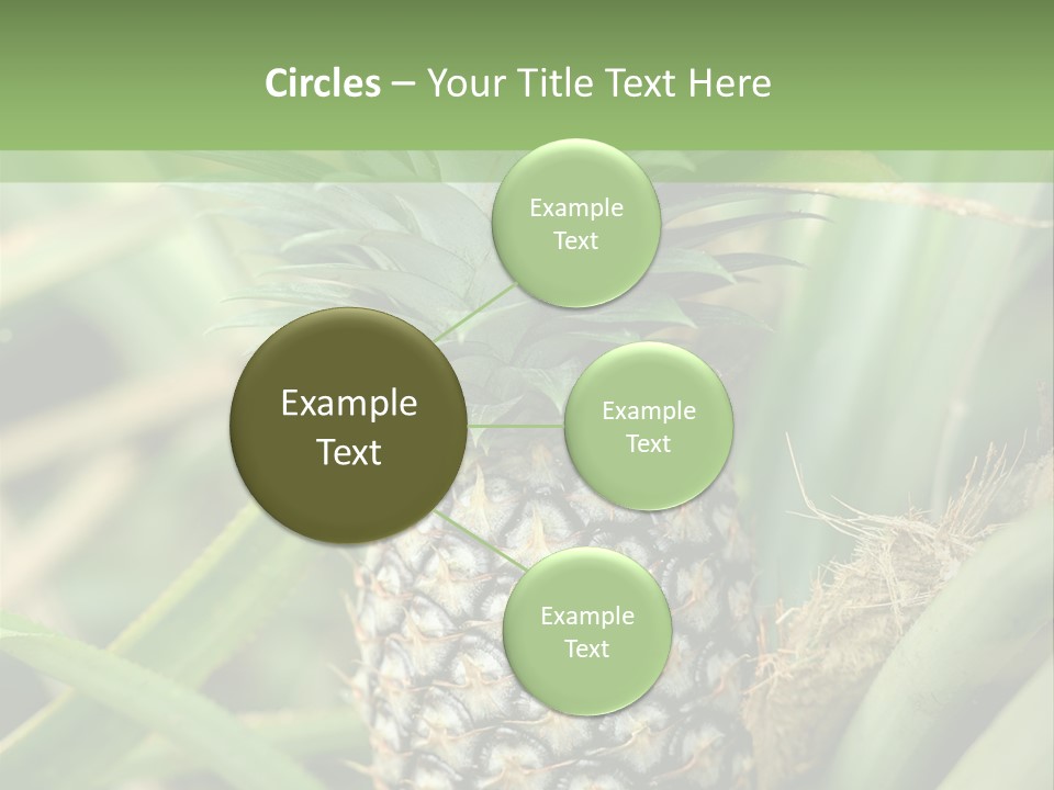 Asia Outdoor Raw PowerPoint Template