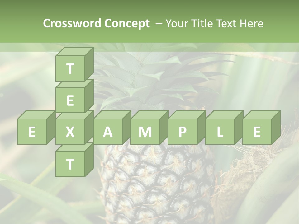 Asia Outdoor Raw PowerPoint Template