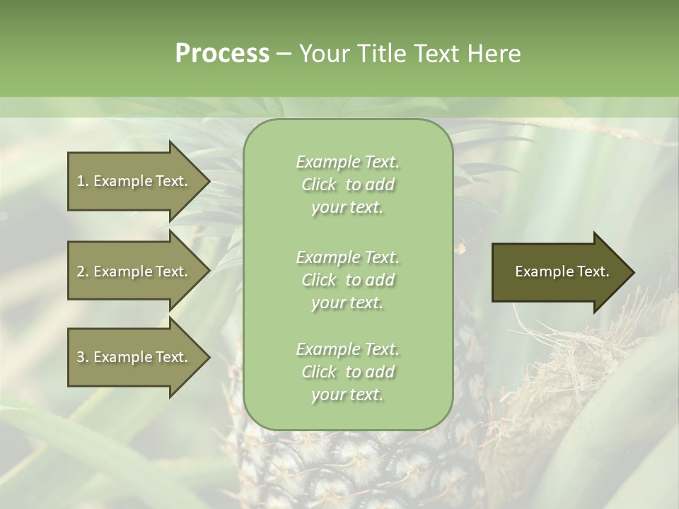 Asia Outdoor Raw PowerPoint Template