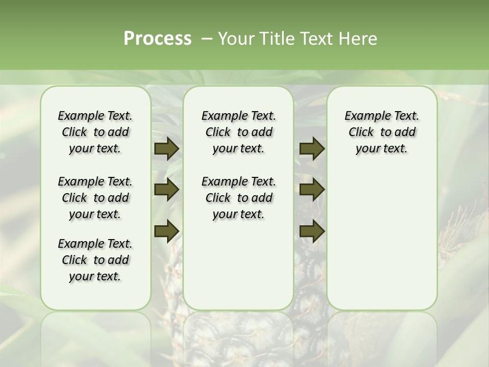 Asia Outdoor Raw PowerPoint Template