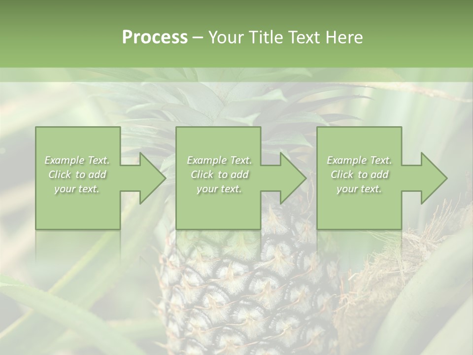 Asia Outdoor Raw PowerPoint Template