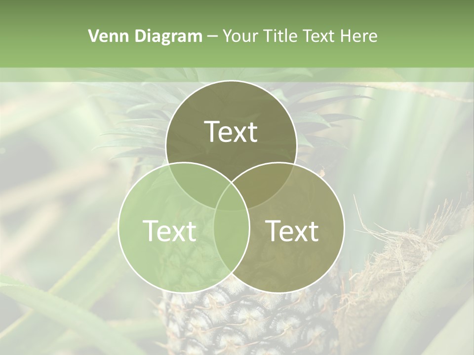 Asia Outdoor Raw PowerPoint Template