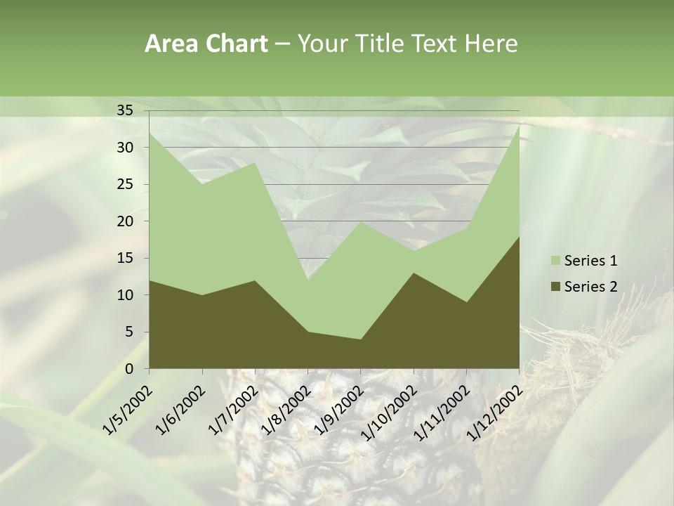 Asia Outdoor Raw PowerPoint Template