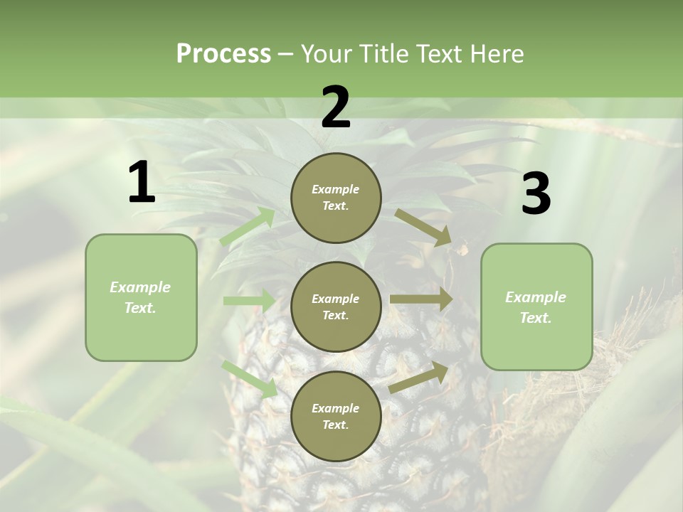 Asia Outdoor Raw PowerPoint Template