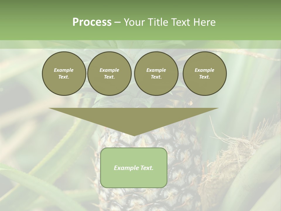 Asia Outdoor Raw PowerPoint Template
